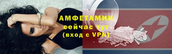 гидра Горнозаводск