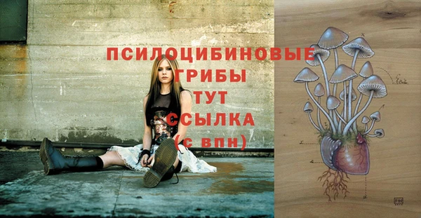 соль курить ск Вяземский