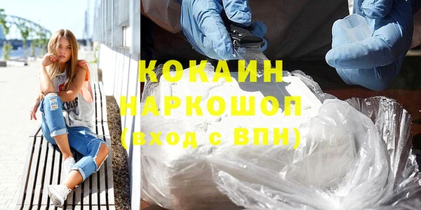 стафф Вязьма