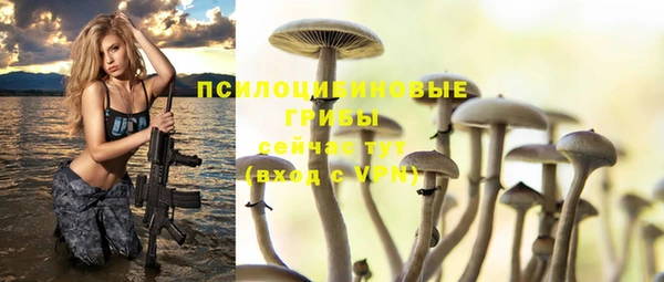 ALPHA-PVP Волоколамск